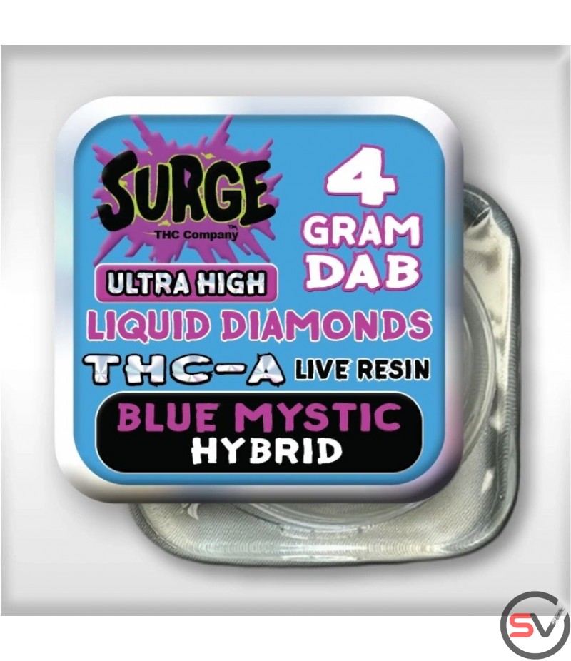 SURGE 4G DAB